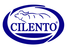 Cilento